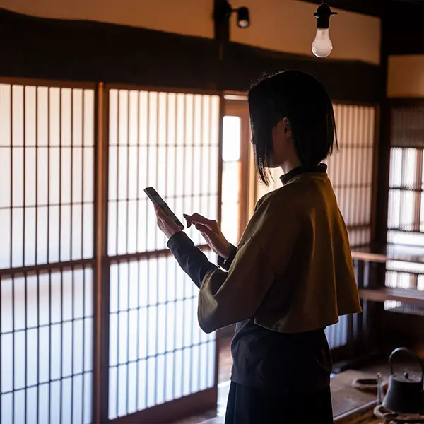 Person using device in traditional room